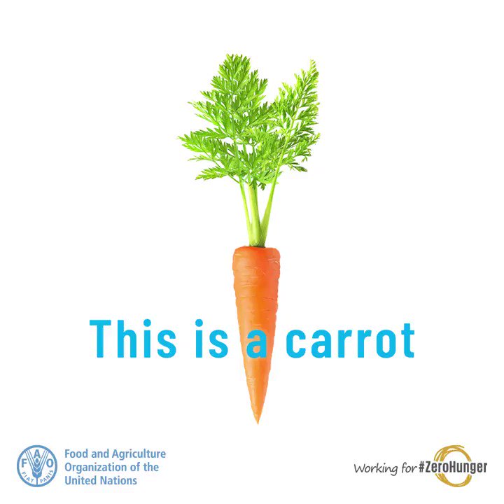 They may be different shapes and sizes but a carrot is a carrot. Don't judge.
Pick 'ugly' fruit and vegetables to reduce your #foodwaste.
Every action counts for a #ZeroHunger world.