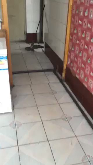 Mitos terpatahkan