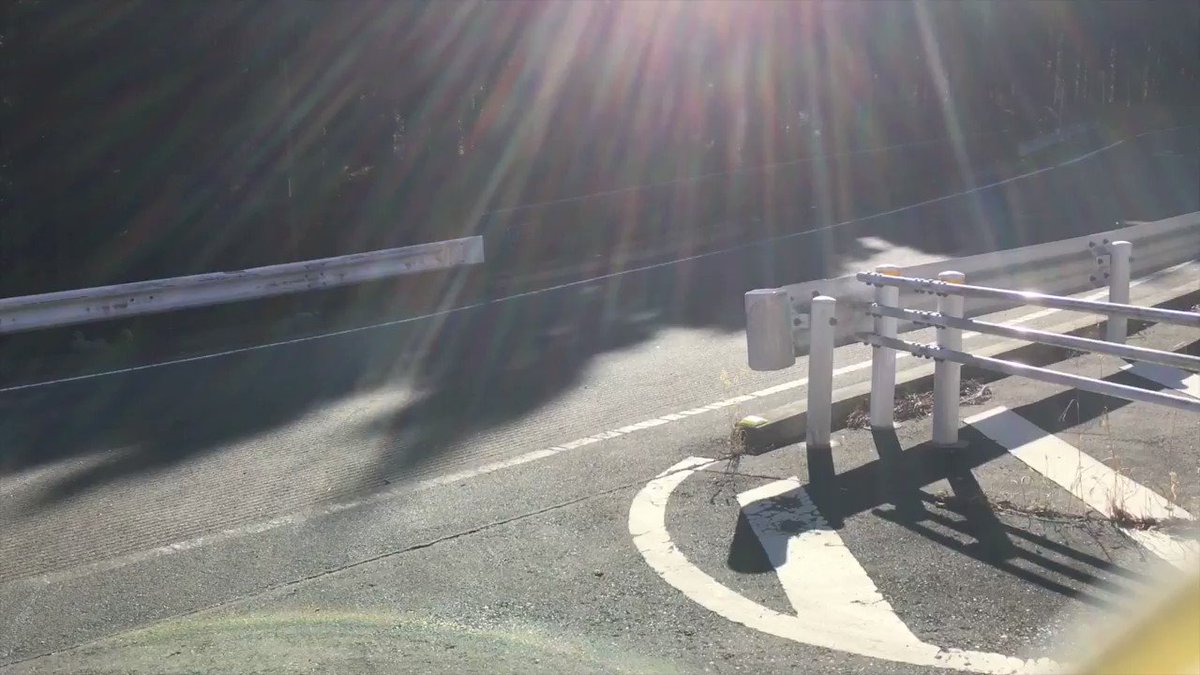 カメちゃん🐢 on X