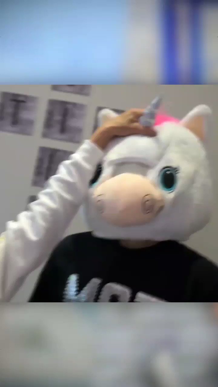 @ciarcarlins video Tweet