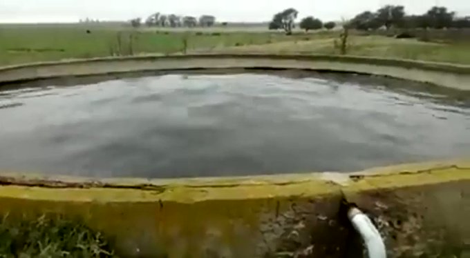 Video insertado
