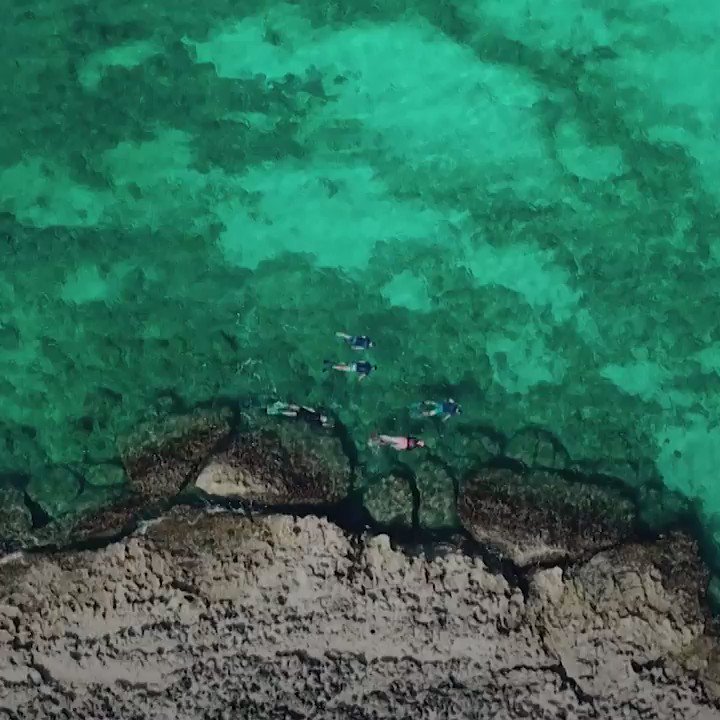 OCEAN | In less than 20 years, an Italian coastal area has transformed itself from a lawless wasteland into an international success story. How did they do it?Watch more: http://bit.ly/2WYo1Jc Via @euronews (with @EU_MARE)