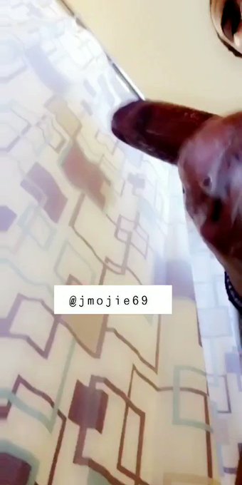 RT IF YA TRYNNA JOIN💯 👅🤫 https://t.co/wfY2QLaHil<a href="/tag/like"class="tags"><span>#like</span></a><a href="/tag/retweet"class="tags"><span>#retweet</span></a>