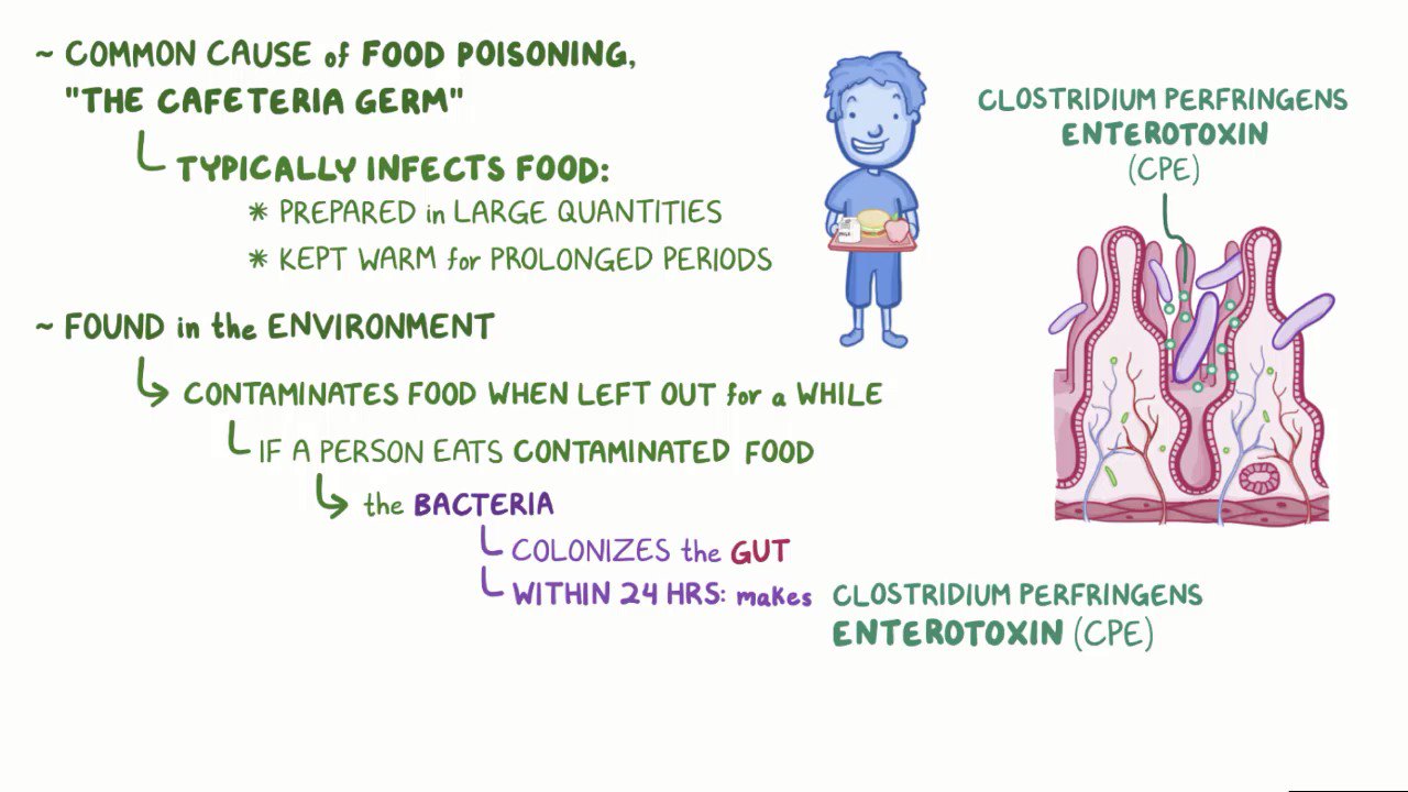 clostridium perfringens in food