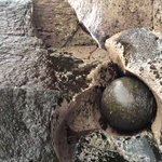 4000年の時を経て削られた石!見事にボーリングの球のよう!