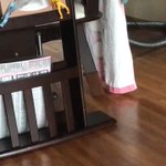 飼い主さんにめがけて、一生懸命走ってくる小鳥さん♡可愛すぎて死にそう!