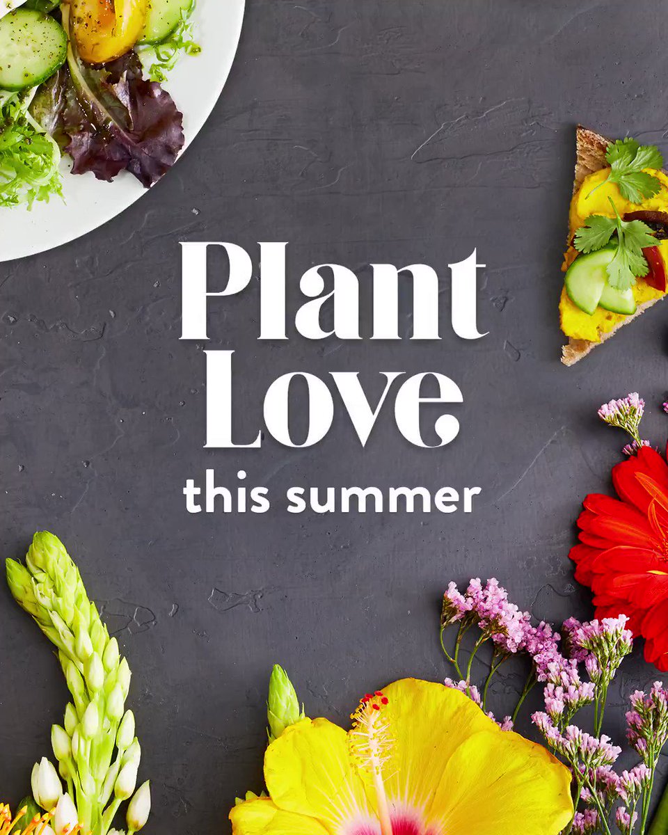 ๐ธ New! Our Summer Menu ๐ธ This innovative, plant-inspired Summer Menu invites everyone to live well, because we believe that great food shouldnโt cost the earth. ๐๐ฟ #plantlove #LPQsummer https://t.co/iHqufm2p9c