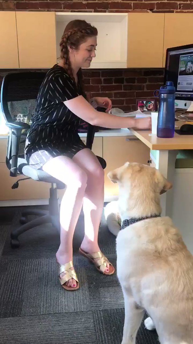 My dog and I are both deaf so I try to teach her tricks in sign. I sign “nice to meet you” and then we shake paws