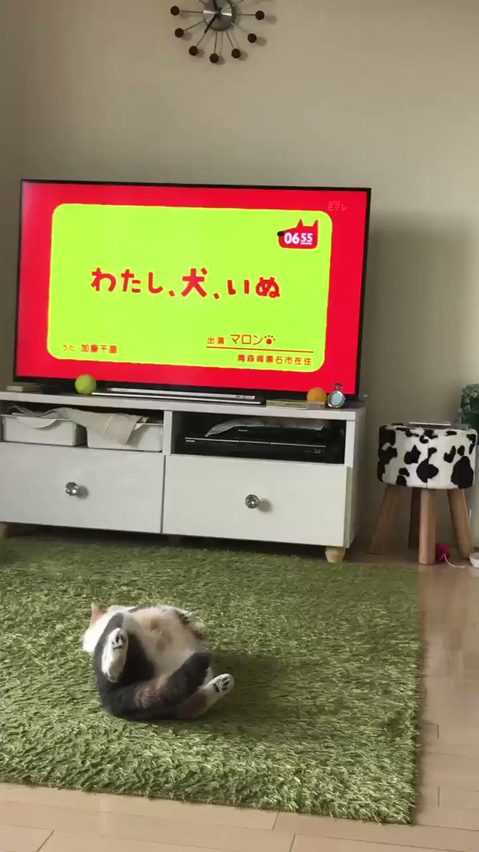 わたし犬いぬ Twitter Search Twitter わたし犬いぬ Twitter Search Twitter