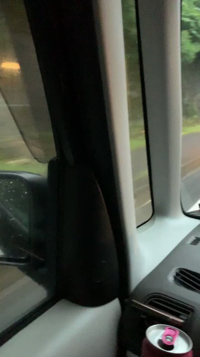 【衝撃】怖すぎる・・・道路に突如現れたくま！！