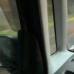 【衝撃】怖すぎる・・・道路に突如現れたくま!