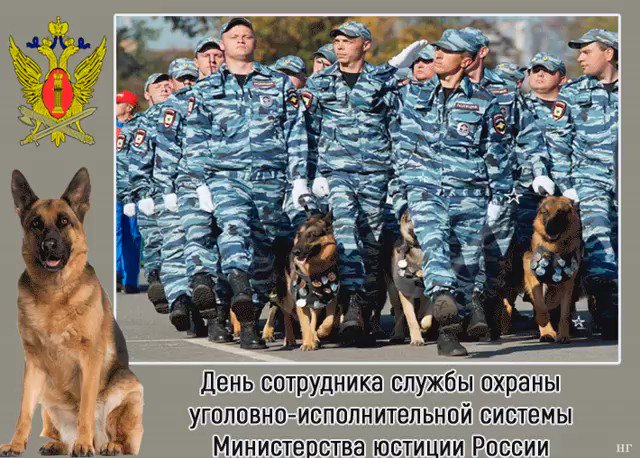 дополнение этому картинки с днем охраны уис улице зима