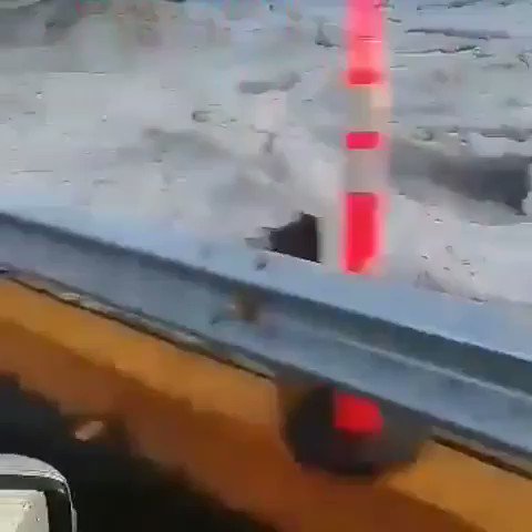 Embedded video