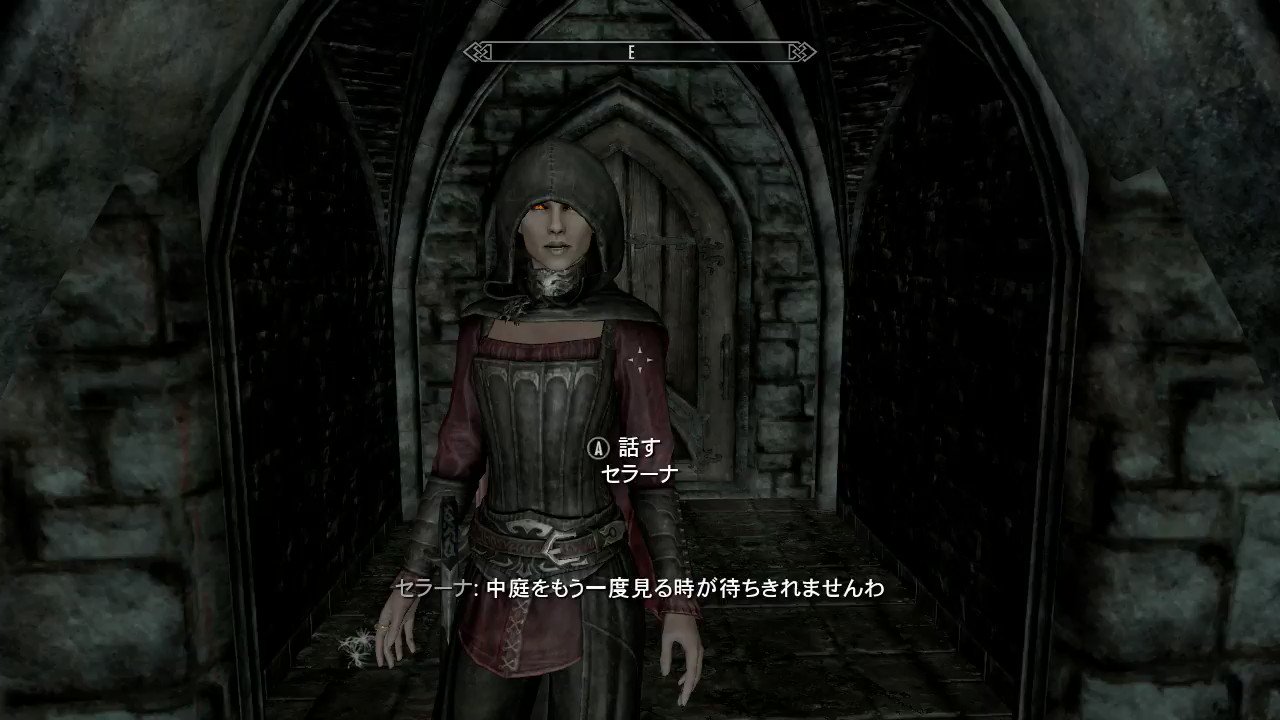 シャキタ S O ドドド Skyrim セラーナさんの心情には値があり 選択肢によってシリアス度が 3から 3まで動き 信頼度も同じく 3から 3まで動きます 私にしては珍しく両方が 3になった状態のセラーナさんになったので録画したのですが すごく身振り手振り