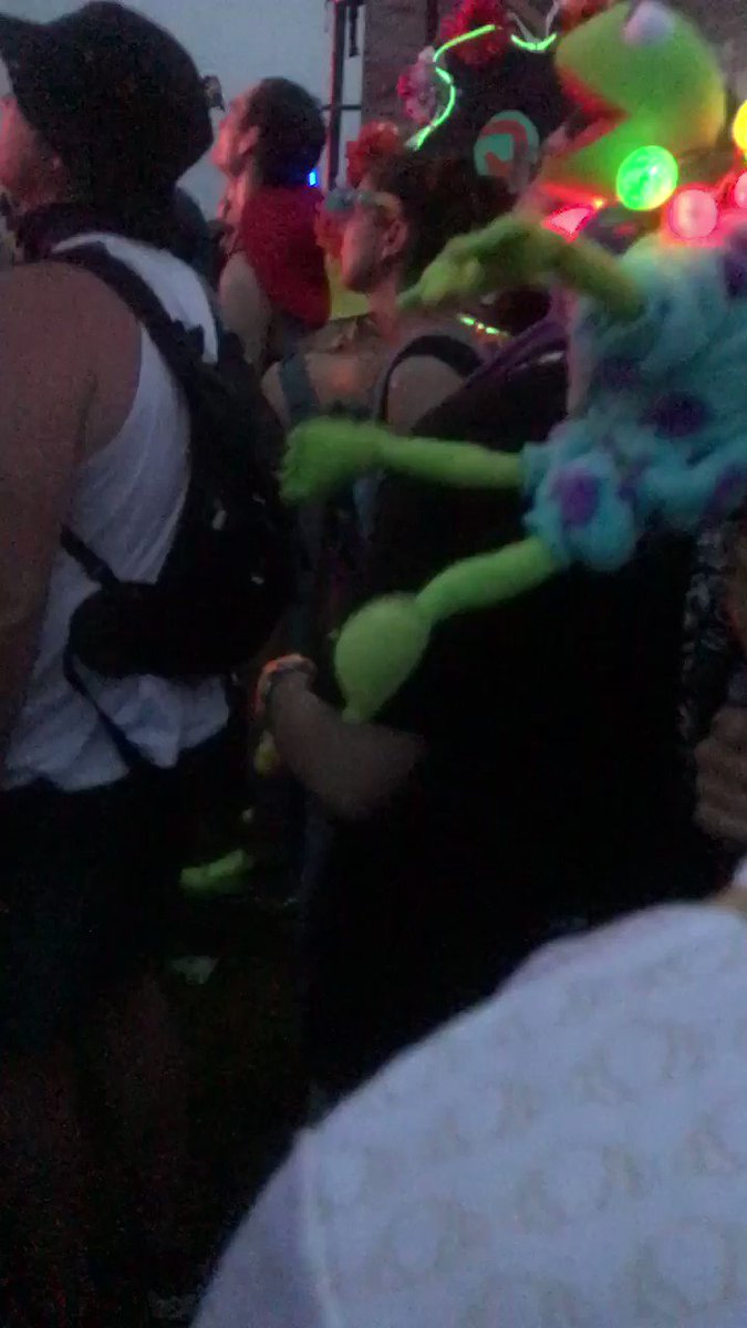 Such a beautiful moment giving my best friend the ability to see colors for the first time. The forest was the perfect place for this special moment and @SaidTheSky brought the magic to top it off. I’ll never forget this night 💚 @Electric_Forest