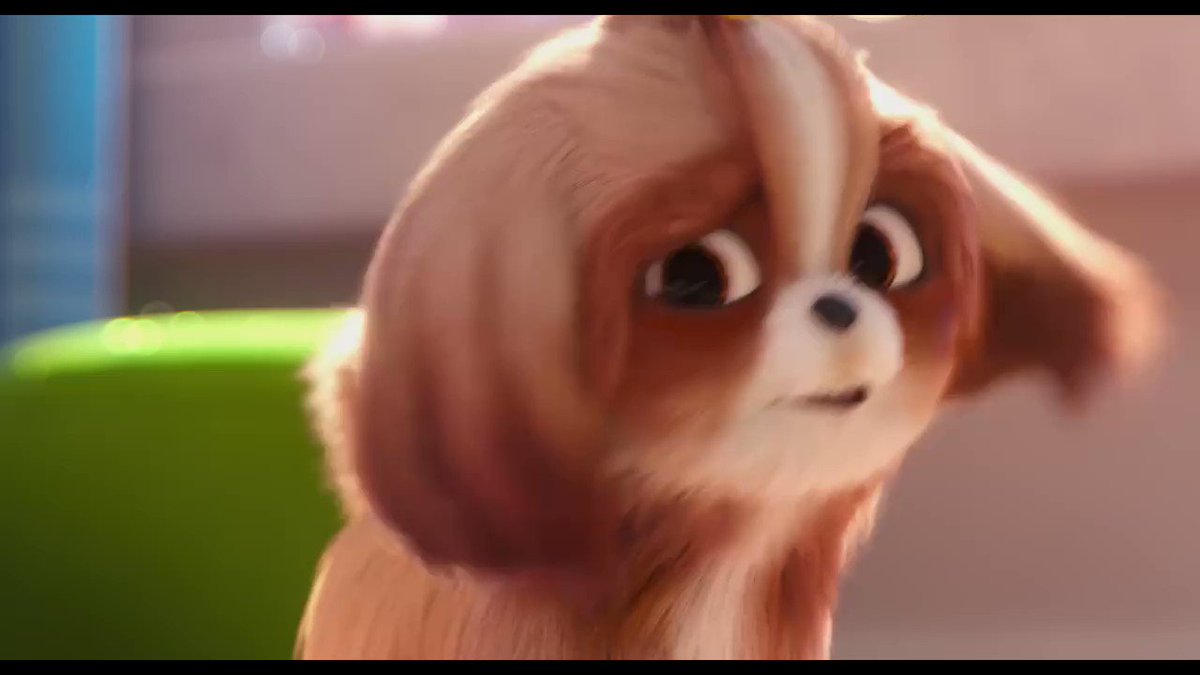 NEW, NEW, NEW...
We regularly present the best and latest Hollywood blockbusters as the original version (OV). Every week Wednesday.
This week "The Secret Life Of Pets 2" (03.06.19)
Tickets: http://bit.ly/2ZWLD2G
#KinoMeiningen #OriginalVersion