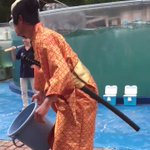 新屋島水族館のイルカショーが凄いwこれは飽きない!
