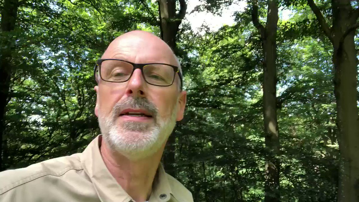 Klöckner will Geld verbrennen