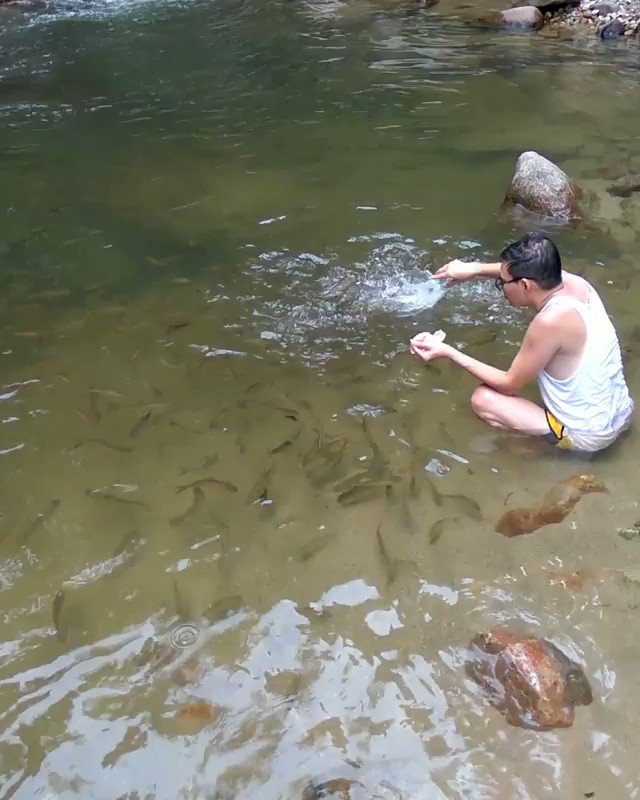 Sungai chiling fish sanctuary