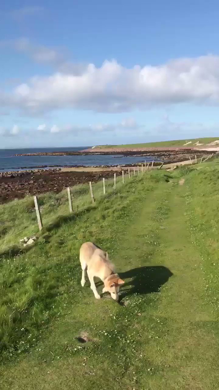 Dr Peter J. Gilbert on Twitter "I must say, after a pretty