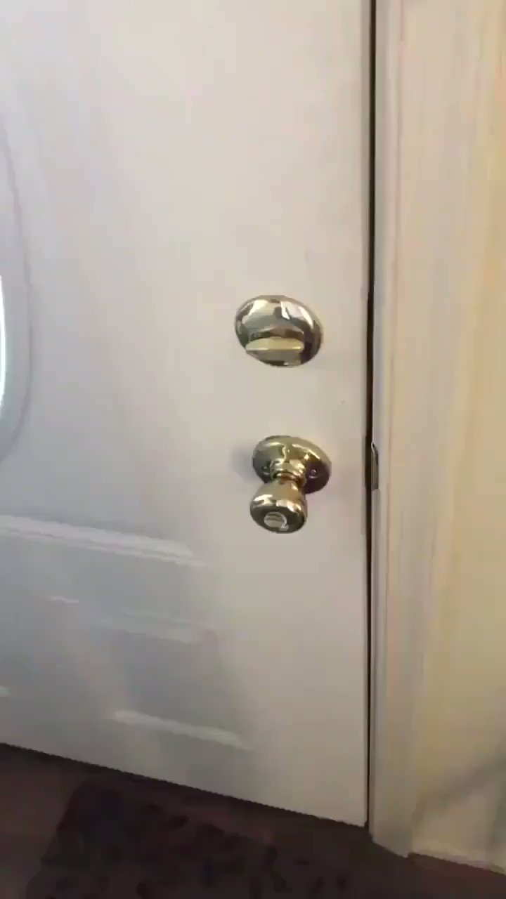 ً on Twitter "guy at doorstep with money *request* https//t.co