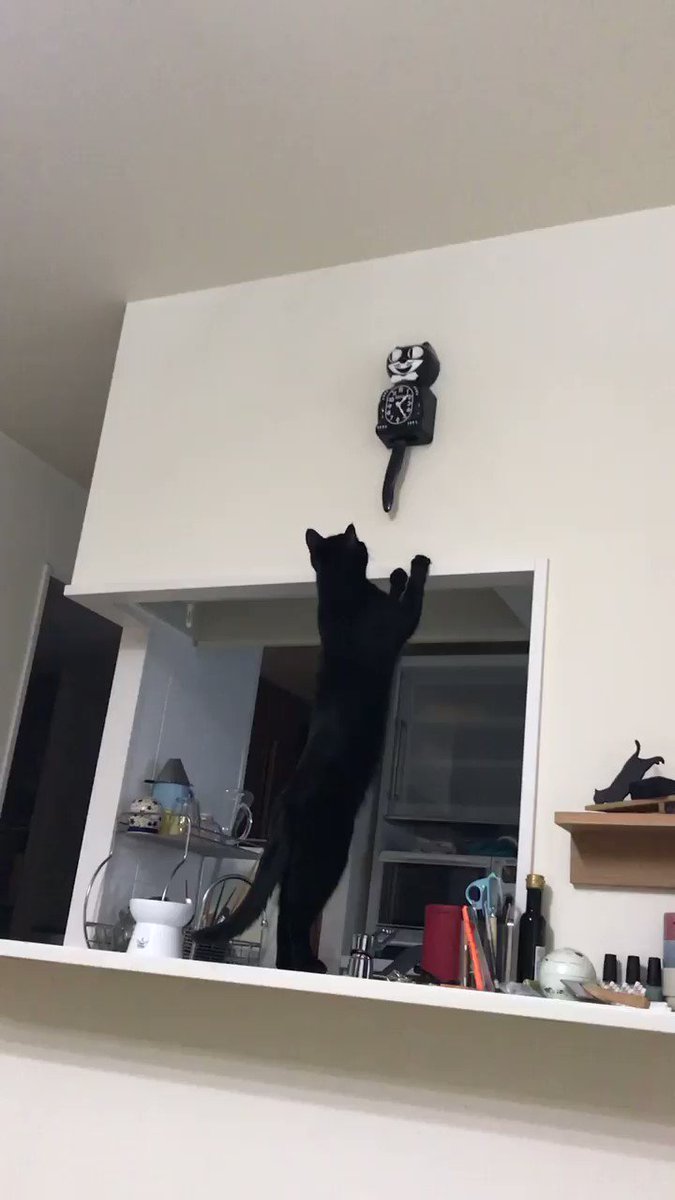 しっぽが揺れる猫型時計が設置されたので気になってそーっと触ってみる黒猫さん ダックシーズンに出てくる時計だ Togetter