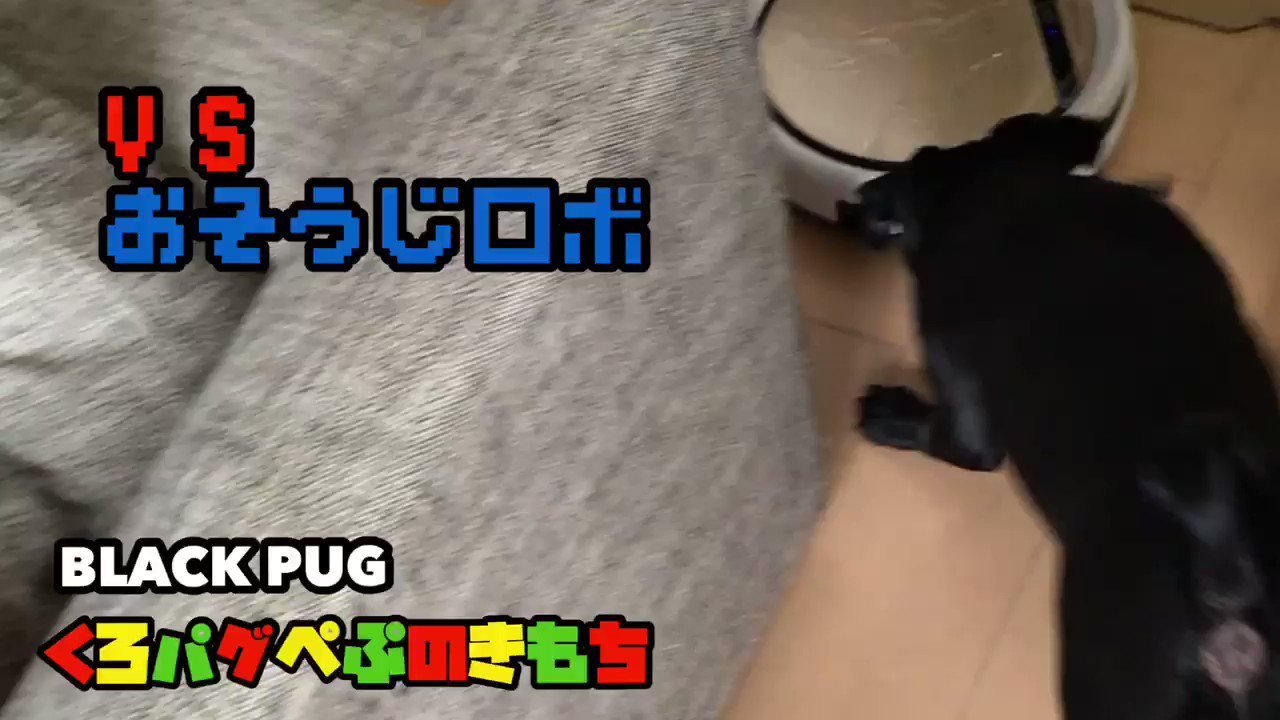 ★パグ子★ページ OJAGA DESIGN ちびまる子ちゃん [野口さん] パスケース