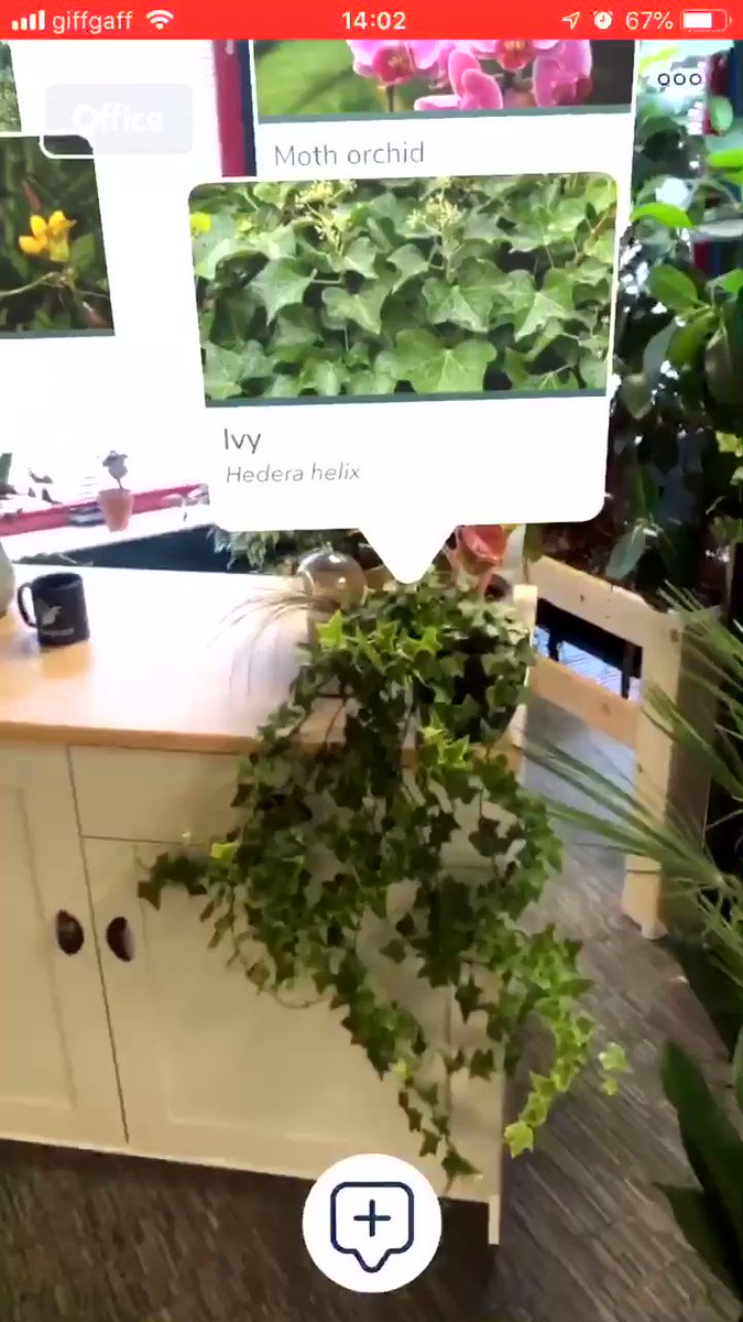 An Augmented Reality Plant App for Identification and Growing Information!MT @CandideTech #ar #AugmentedReality #MR #XR #CR #MixedReality #innovation #plantid #botany #camping #hiking #survival #cool #outdoors