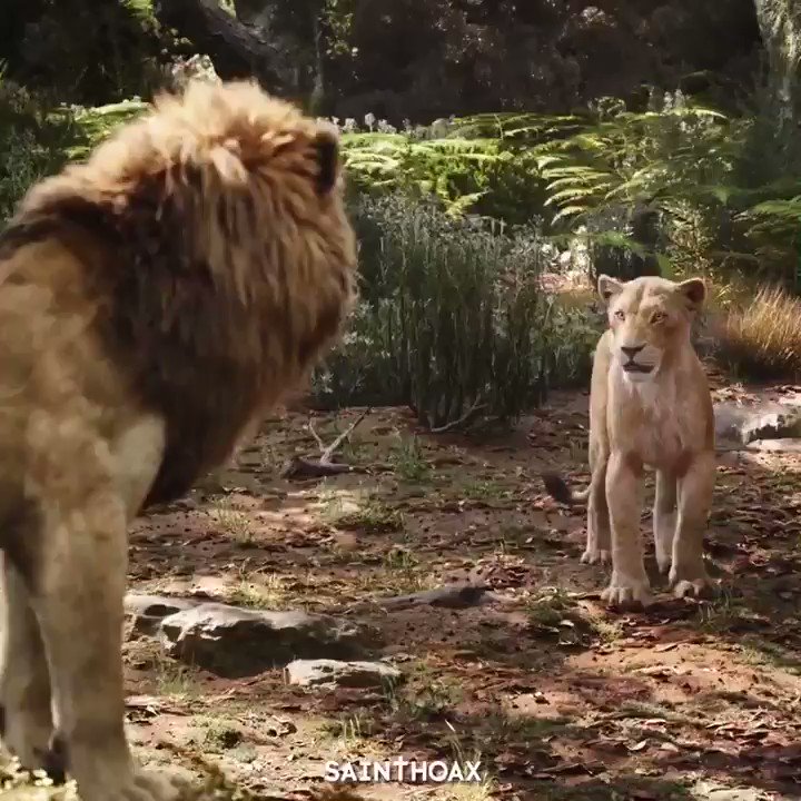 - simba - BEYONCÉ??