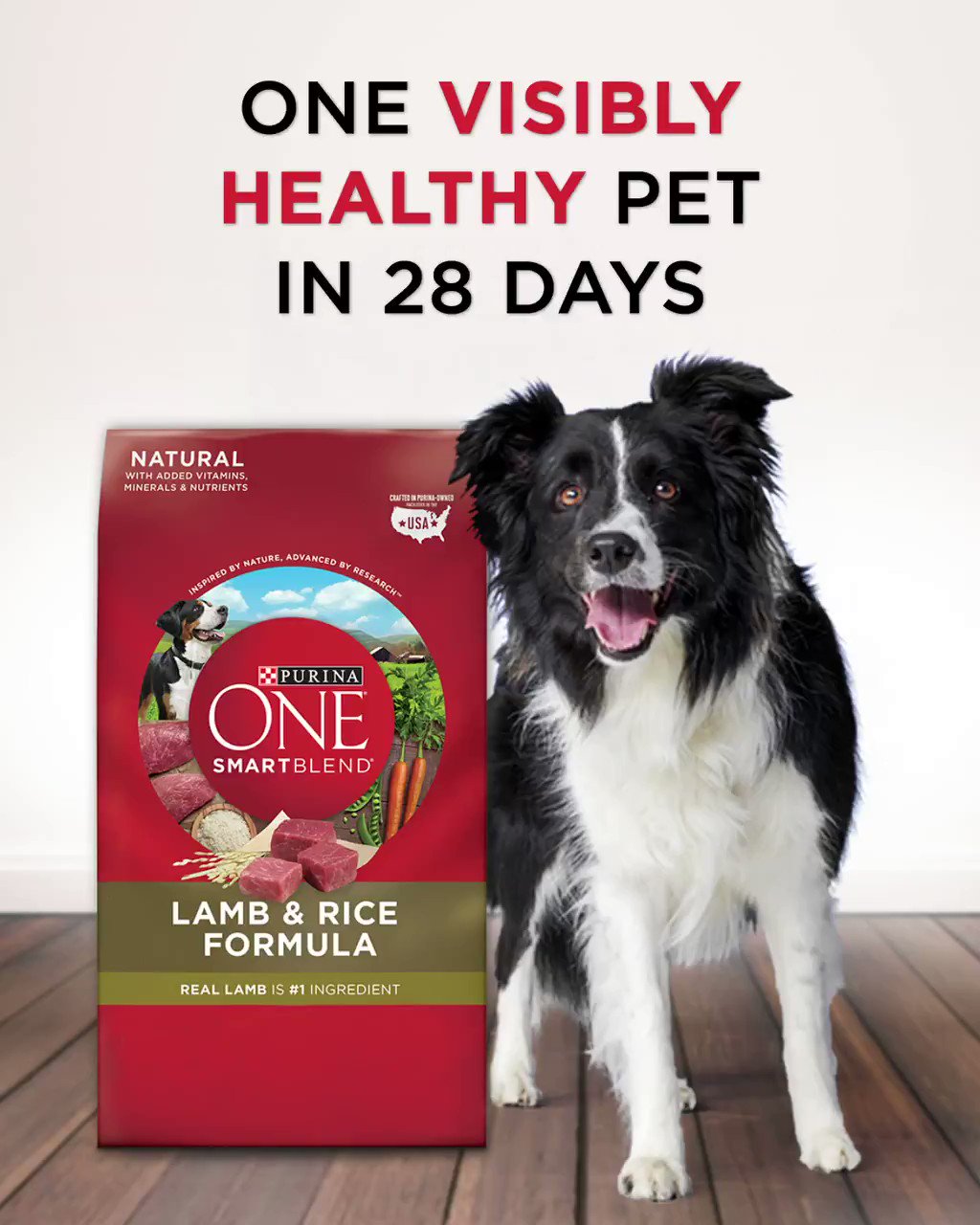 28 day store challenge purina