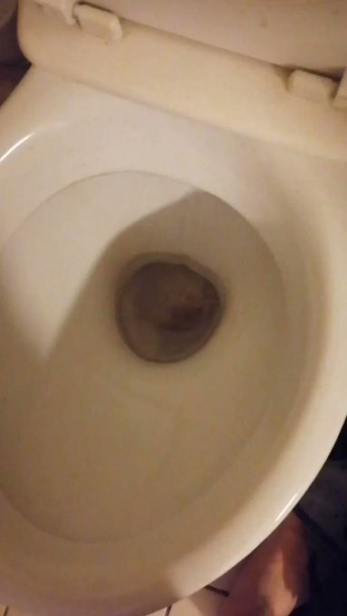 Viens boire ton Champagne !  Drink your Champagne!  https://t.co/0QQBta4LMC  #FinDom #findomaddict #walletdrain<a href="/tag/fetish"class="tags"><span>#fetish</span></a><a href="/tag/master"class="tags"><span>#master</span></a><a href="/tag/slave"class="tags"><span>#slave</span></a><a href="/tag/pigeon"class="tags"><span>#pigeon</span></a><a href="/tag/findom"class="tags"><span>#findom</span></a><a href="/tag/piss"class="tags"><span>#piss</span></a><a href="/tag/toilets"class="tags"><span>#toilets</span></a>