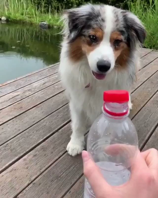 Nailed it #BottleCapChallenge