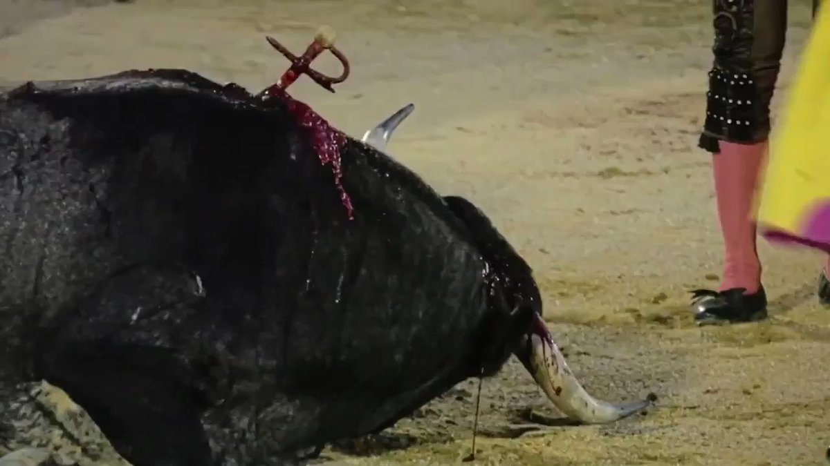 WELCOME TO EUROPE. THIS IS WHAT WE DO IN EUROPE! đȘđșđ
(Fyi, this is LEGAL, people even pay to watch this. And here you have it for free! lucky you)