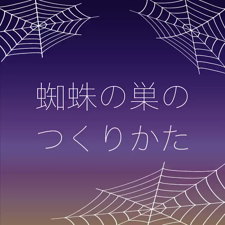 イラレ職人 コロ 蜘蛛の巣のつくりかた Illustratorチュートリアル 本日のイラレ T Co Pasxfcqwip Youtubeさんから T Co Pjpjdfh7yd Twitter