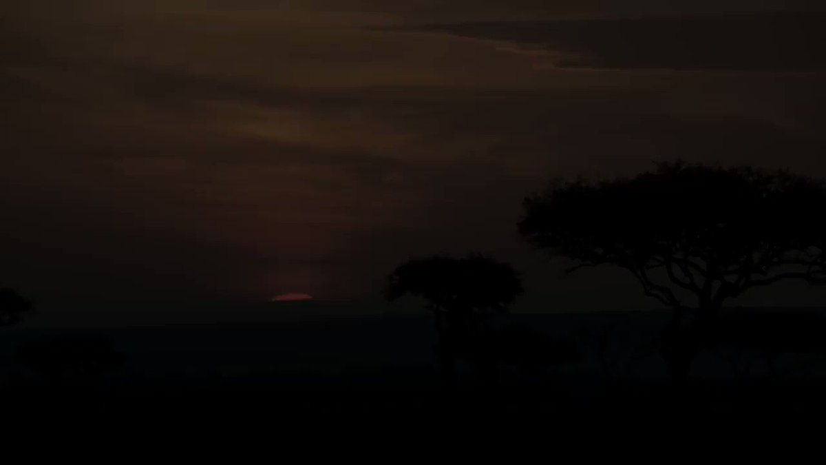 #TheLionKing releases preview clip of the movie's Chinese promotional song, a special cover of "Can You Feel the Love Tonight", sang by #BeyoncĂ© and #JackyCheung#ćŒ ćŠć #zhangxueyou