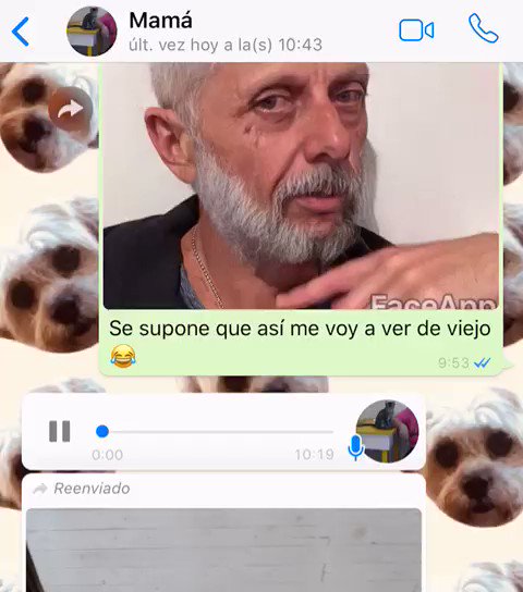 @gus_0880's photo on #FaceApp