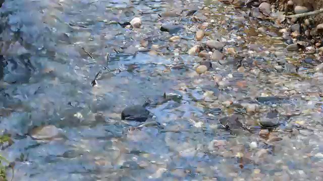 A beautiful morning. One can simply meditate on the sound of this nature's #music. Rare to see this flowing so clean in cities now. If only cities & its people could together bring it back. #Nepal #Birgunj #Kathmandu #Water #love #WednesdayMotivation #SaveWater #CleanWater