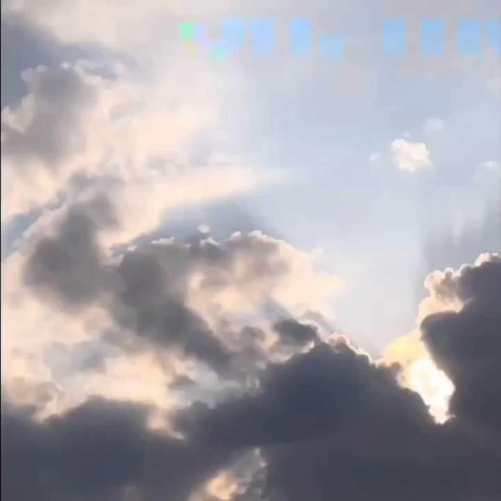 jerm (@jeremyzucker) on Twitter photo 2019-07-17 17:07:27 7.26.19 7.26.19