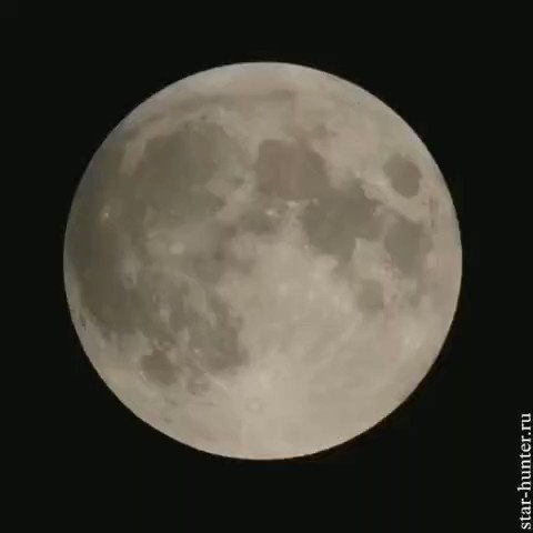 ✰ (@ilyastros) on Twitter photo 2019-07-19 19:49:40 lunar eclipse, 160719. lunar eclipse, 160719.