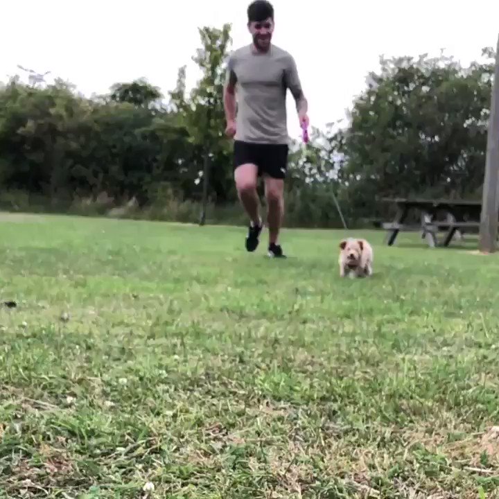 Lolaβs first walk was very successful! π Hereβs a slow-mo of her in action! ππ #LittleLola #Maltipoo #MaltipooPuppy
