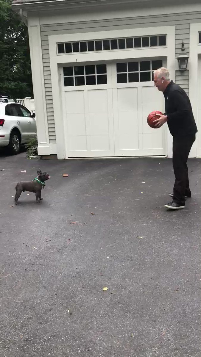 At home ball handling drills