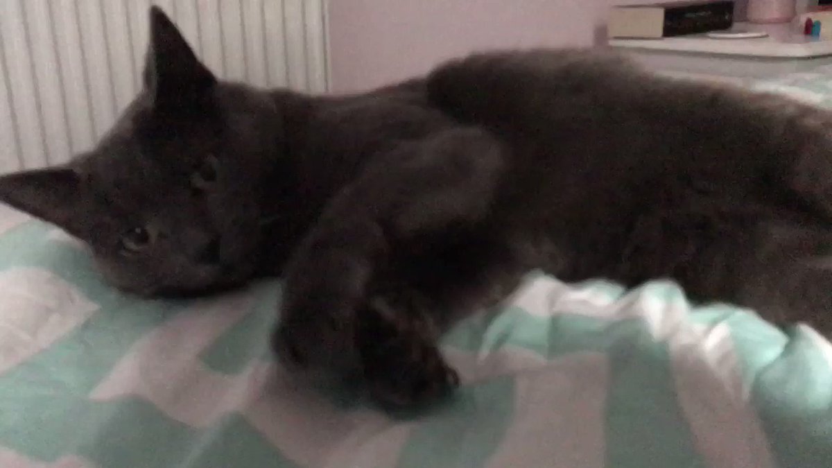 Hi everyone! ππ» Iβve been very happy today! Hope you have all had a fantastic #FluffyFursday β€οΈ