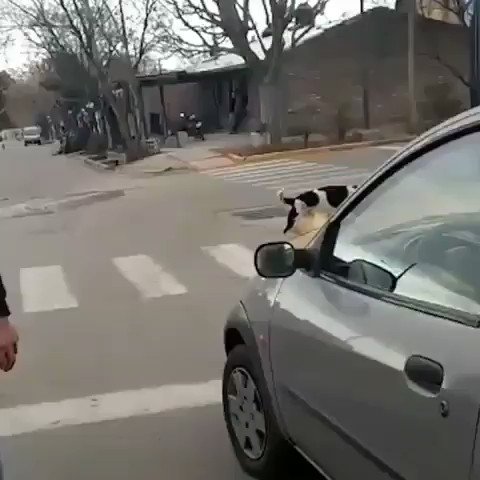 PARE LA MANO GOBERNADOR 🤚 Repudio absoluto a la agresión sufrida por nuestra compañera y candidata a consejal en Godoy Cruz por parte de un EMPLEADO DE LA MUNICIPALIDAD y MILITANTE de @DifusionCornejo
#BastaDeMafias
#CornejoEsMafia