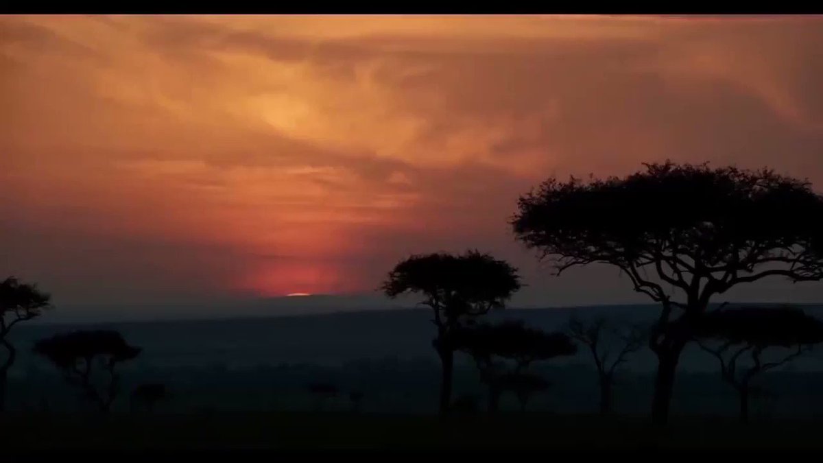 You have to see what @TheKalenAllen is doing tonight. #TheLionKing