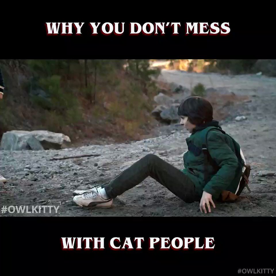 OwlKitty (@Owl__Kitty) on Twitter photo 2019-07-19 08:51:09 If Eleven had a cat 😼#StrangerThings #owlkitty @Stranger_Things If Eleven had a cat 😼#StrangerThings #owlkitty @Stranger_Things