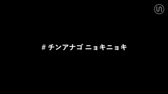 ネイチャーテクニカラー いきもん公式さん の人気ツイート 5 Whotwi グラフィカルtwitter分析 ネイチャーテクニカラー いきもん公式さん の人気ツイート 5 Whotwi グラフィカルtwitter分析