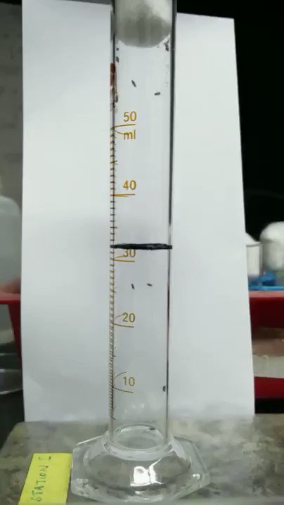 #DrosophilaWeek: Flight and Climbing Assay for Assessing Motor Functions in Drosophila
This #protocol can be used as two general tests to assess fly motor function.
http://bio-protocol.org/e2742
#neuroscience #behavior #research #methods @BManjila @NCBS_Bangalore @SfNJournals