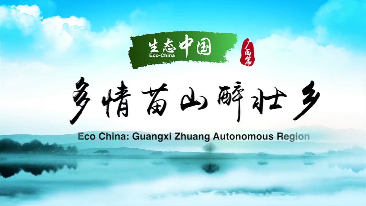 Guangxi Zhuang Autonomous Region has taken various measures in recent years to improve rural environment including expanding forest coverage and improving infrastructure construction #EcoChina #FlyOverChina