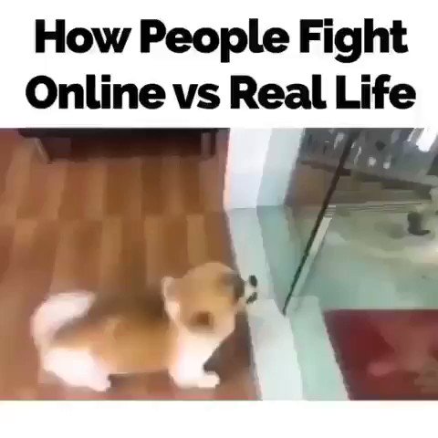 EvenDigit on Twitter: "How people fight online vs real life. The Internet  is the world\