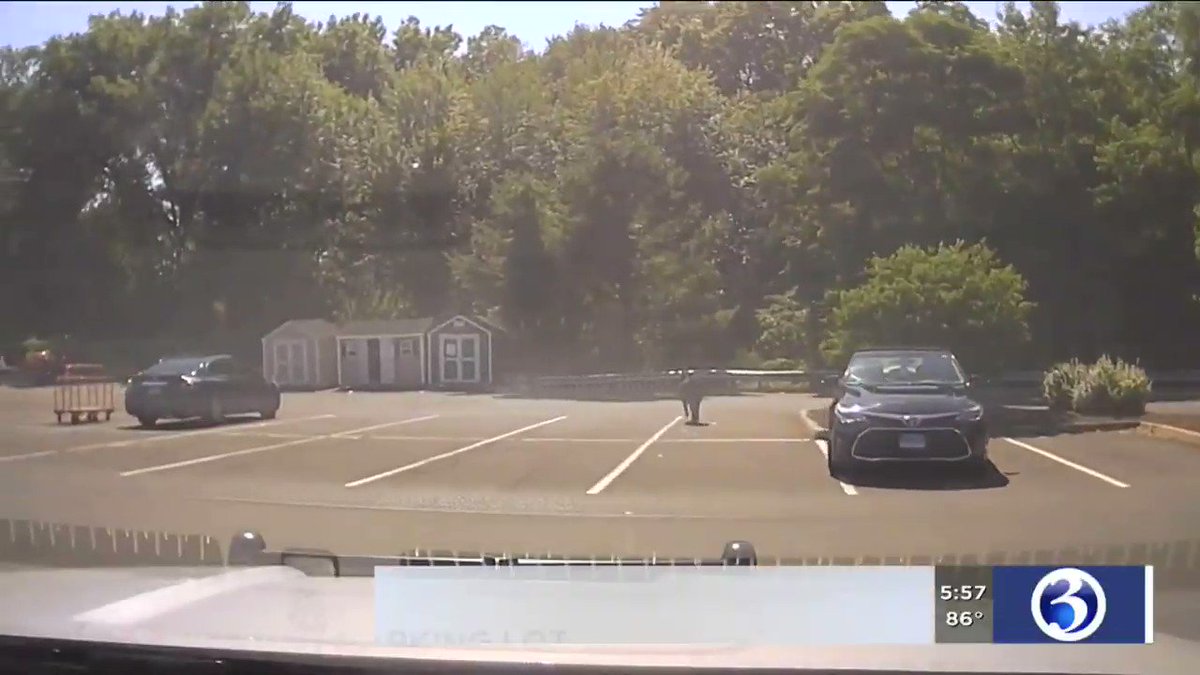 Connecticut: Muslim kills cow by cutting its throat in Home Depot parking lot https://creepingsharia.tumblr.com/post/186429648486/connecticut-muslim-kills-escaped-cow-by-cutting …
A halal slaughterhouse was shut down after a man pulled out a foot long knife, three men held a cow while one man proceeded to cut the calf’s throat in a Bloomfield parking lot